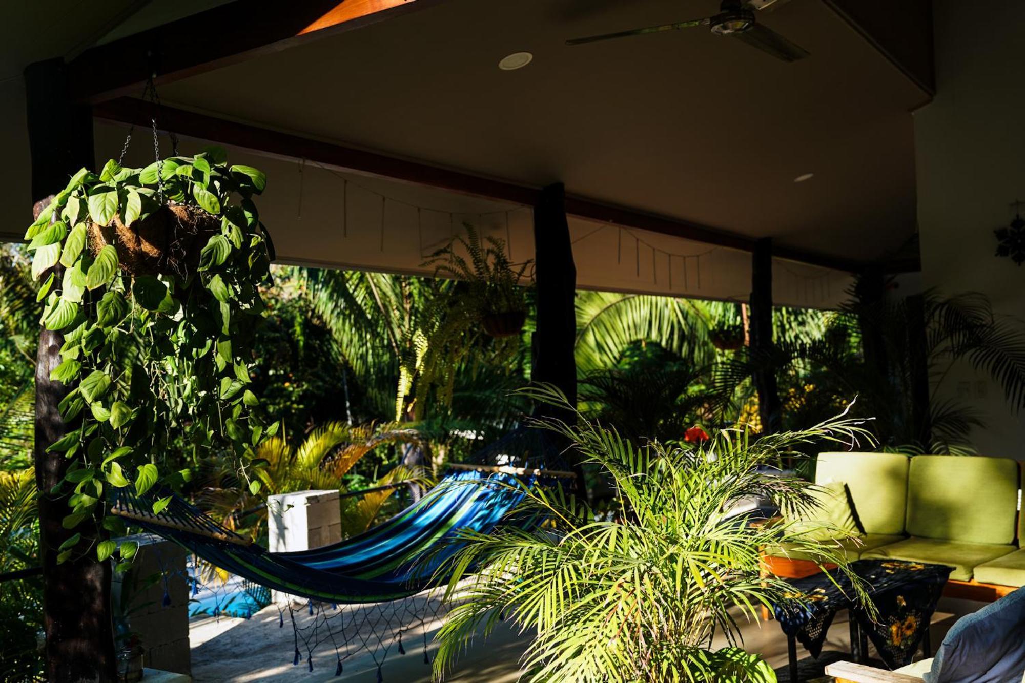 House In The Palm Forest Каррильо Экстерьер фото